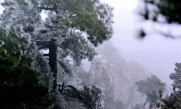 经济衰退引发原油需求担忧，WTI原油跌破百美元，未来油价走势如何？